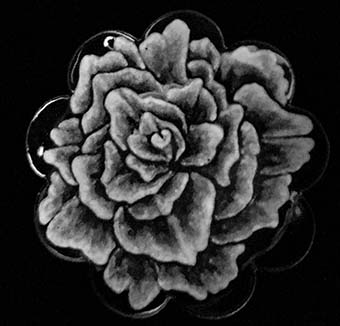 Grisaille Rose